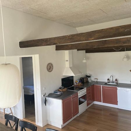 Baekgaarden 3 Rooms Apartment - Old Farm House Odense Dış mekan fotoğraf