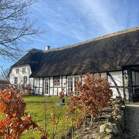 Baekgaarden 3 Rooms Apartment - Old Farm House Odense Dış mekan fotoğraf