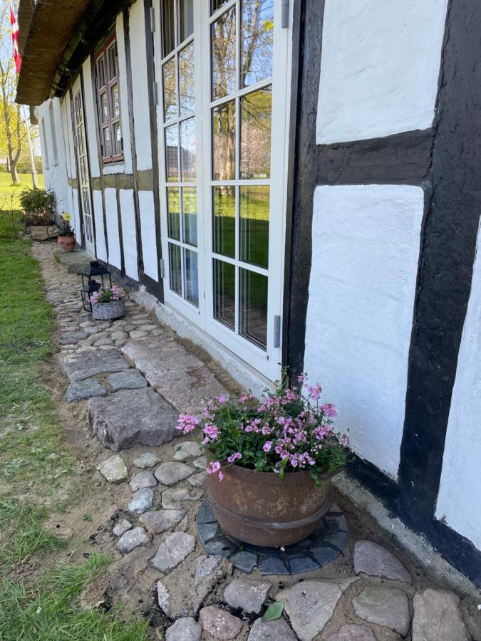 Baekgaarden 3 Rooms Apartment - Old Farm House Odense Dış mekan fotoğraf