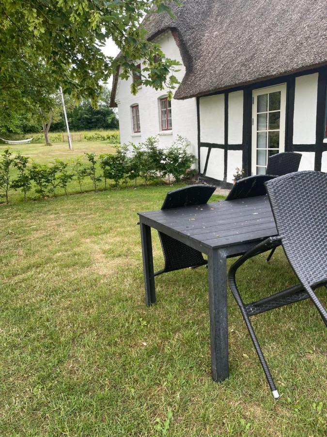 Baekgaarden 3 Rooms Apartment - Old Farm House Odense Dış mekan fotoğraf