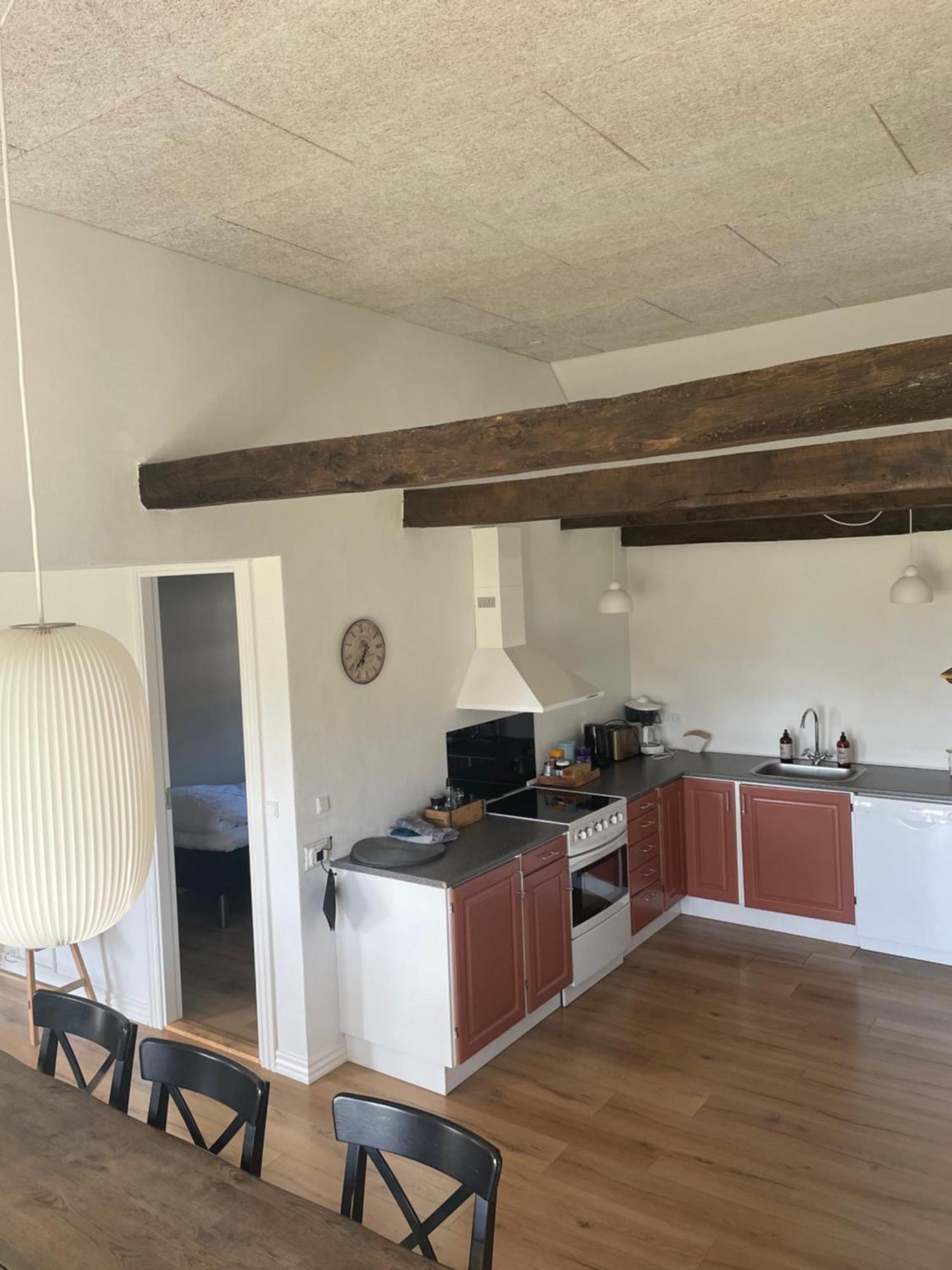 Baekgaarden 3 Rooms Apartment - Old Farm House Odense Dış mekan fotoğraf